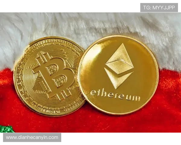 壹号钱包专业版的最新版本功能更新内容及未来发展方向展望